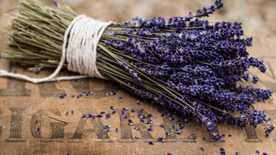 Lavender Essential Oils