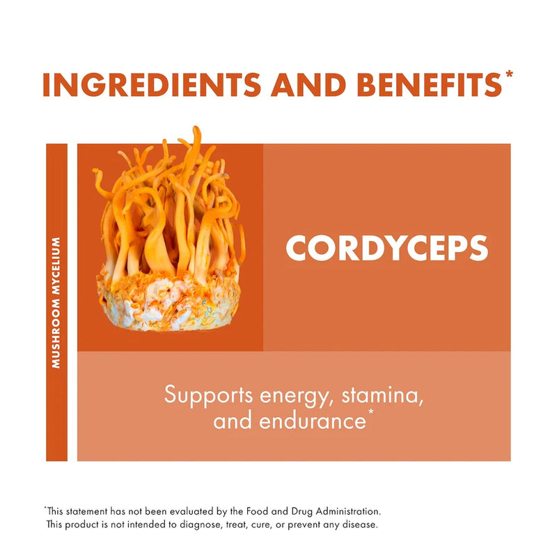 Host Defense Cordyceps 60 Vegetarian Capsules