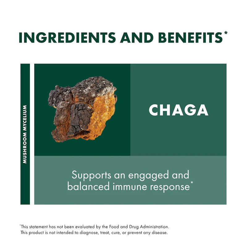 Host Defense Chaga Mushroom Mycelium Powder, 3.5oz (100g)