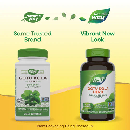 Gotu Kola Herb 475 mg 180 Vegetarian Capsules