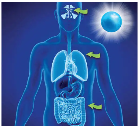 Immune Max Respiratory & Immune Health