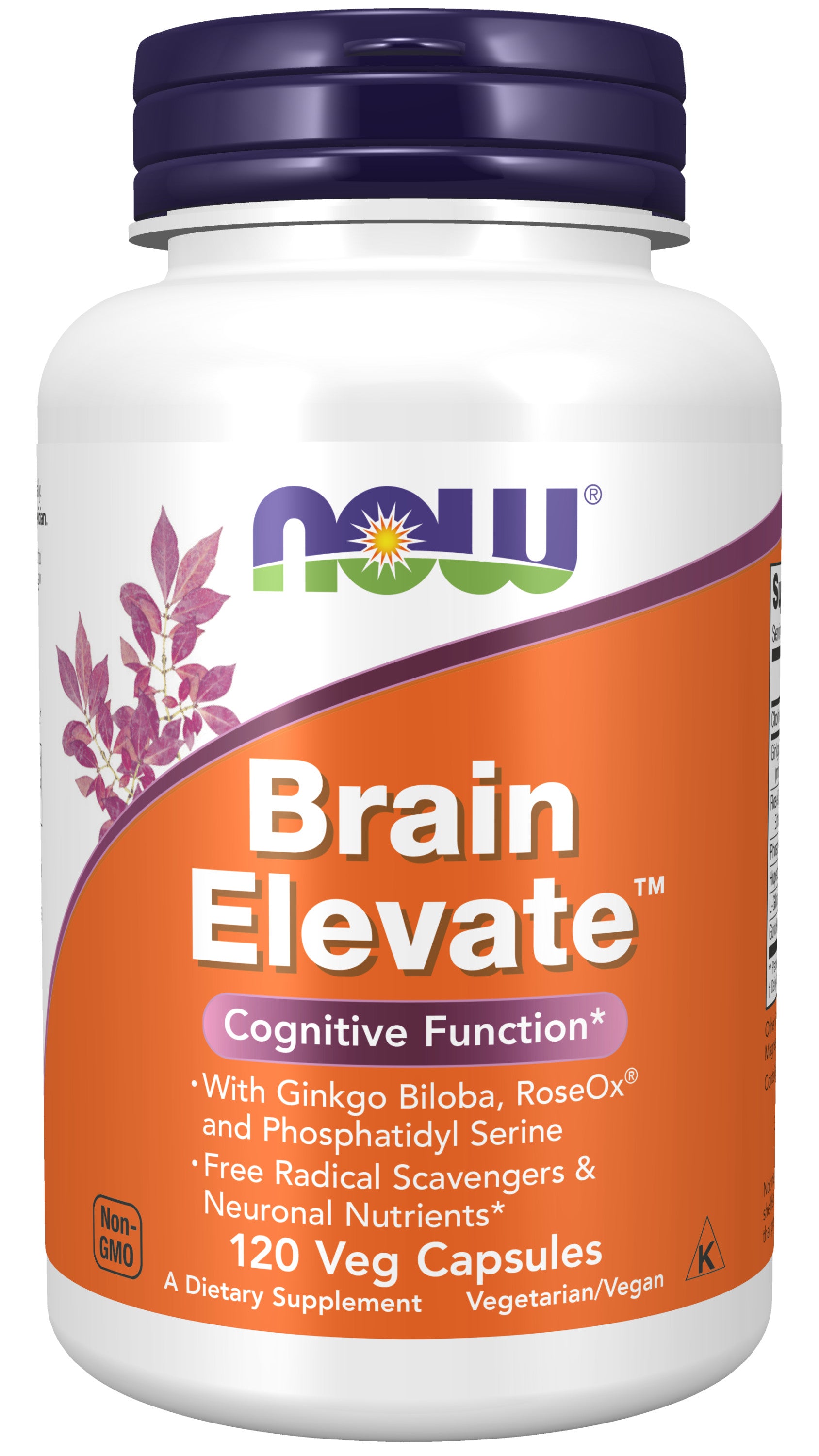 Brain Elevate 120 Veg Capsules | Support Cognitive Function