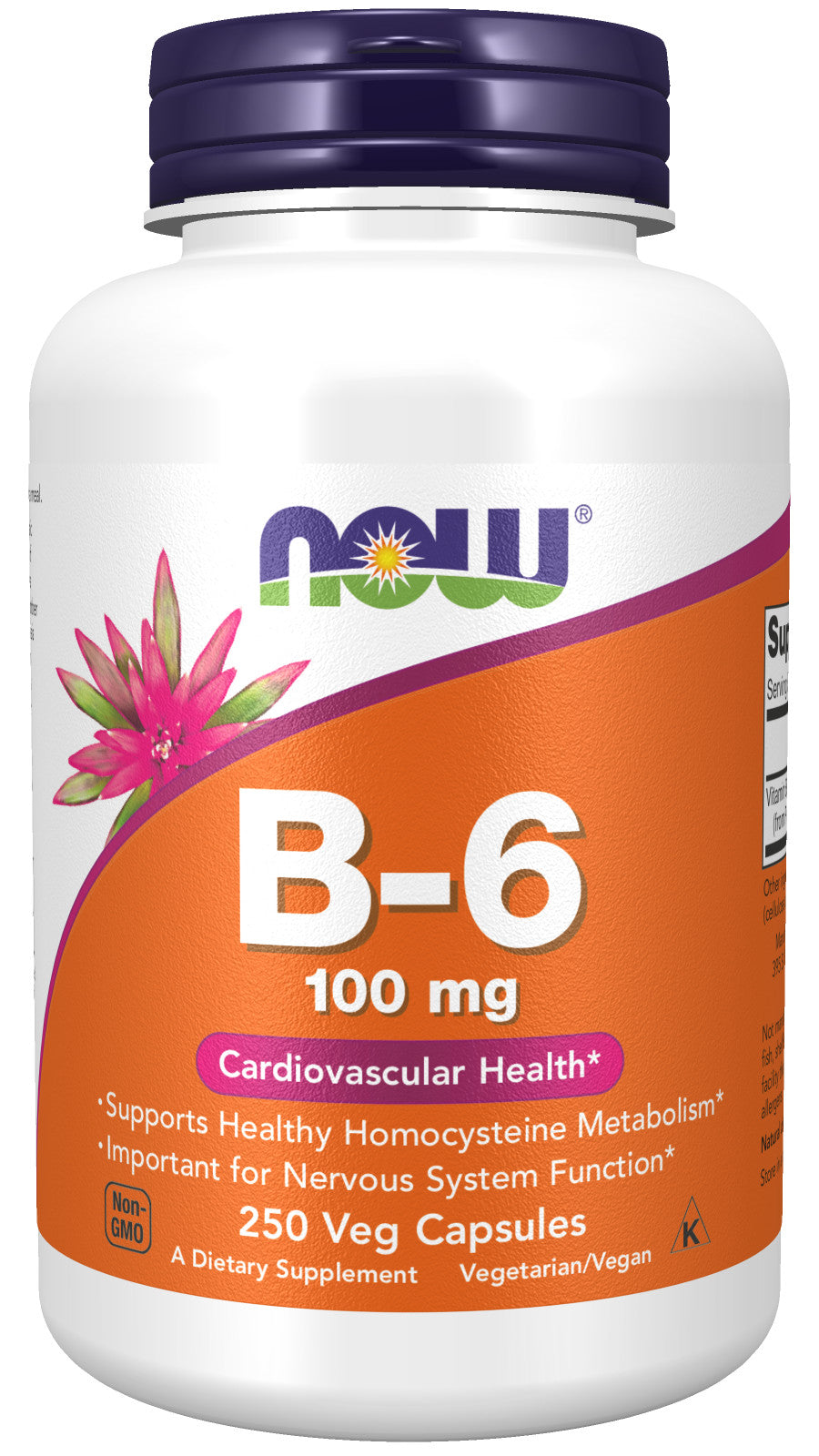 B-6 100 mg 250 Capsules | Support Heart & Nervous System